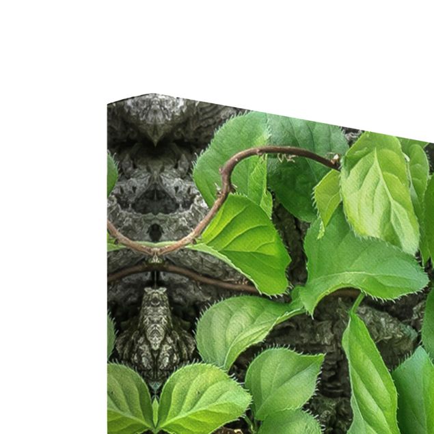 Obrazy z motywem kwiatowym Kora drzewa bluszczu