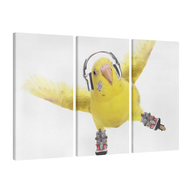 Obrazy ptaki na płótnie Skate Parakeet