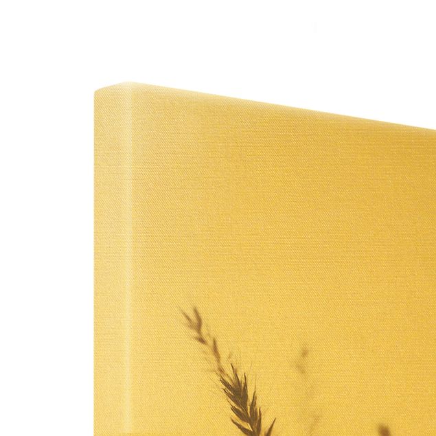 Złoty obraz na płótnie - Suszona trawa pszenicy grzebieniastej