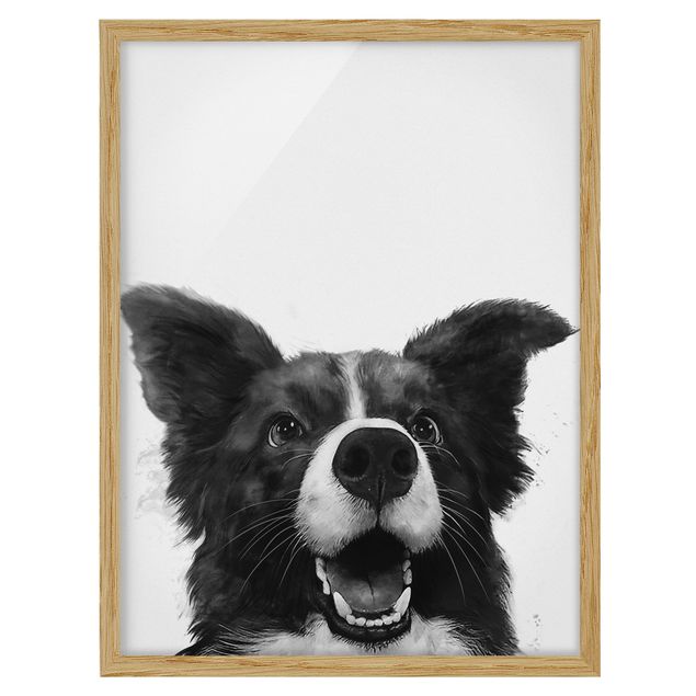 Obrazy w ramie do łazienki Ilustracja pies Border Collie czarno-biały malarstwo