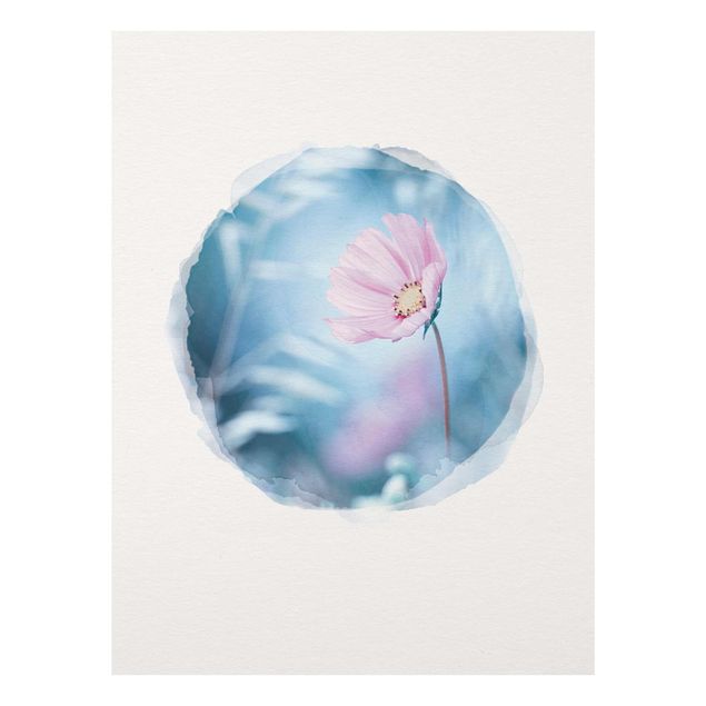Obrazy nowoczesne Akwarele - Kwiat w pastelach