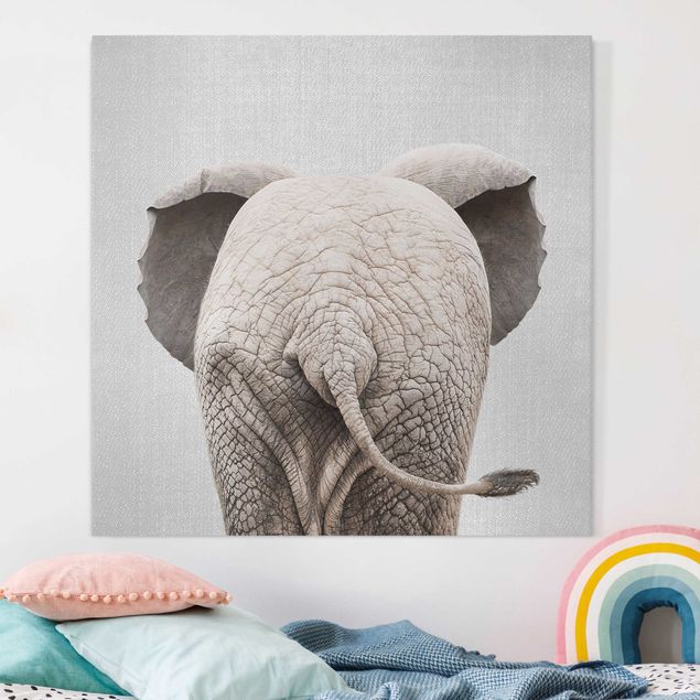 Obrazy słoń Baby Elephant From Behind