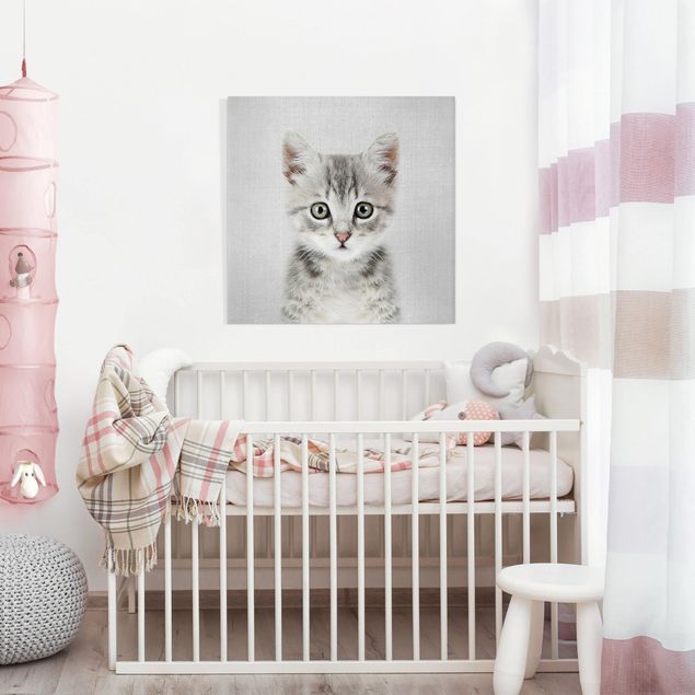 Obrazy nowoczesne Baby Cat Killi