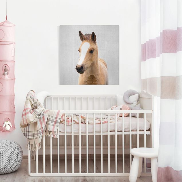 Obrazy nowoczesny Baby Horse Philipp