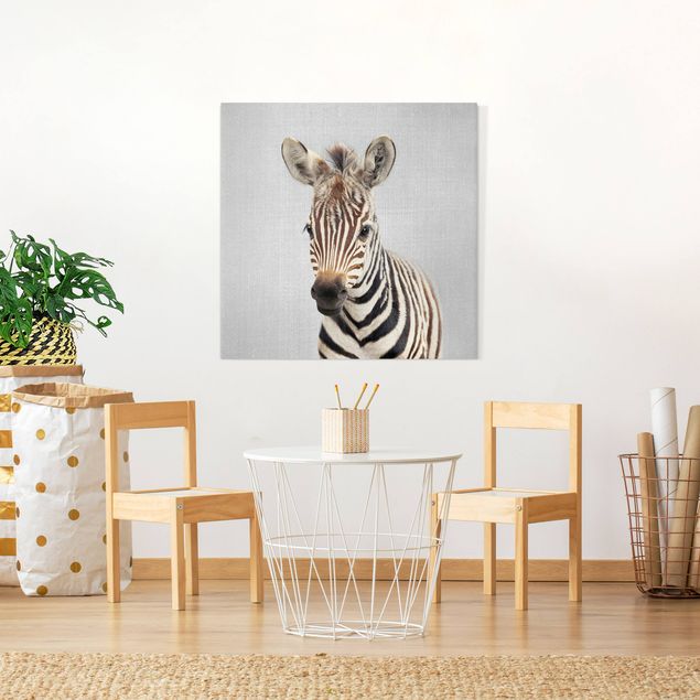 Obrazy do salonu Baby Zebra Zoey