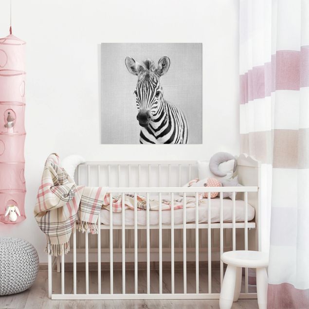 Obrazy nowoczesny Baby Zebra Zoey Black And White