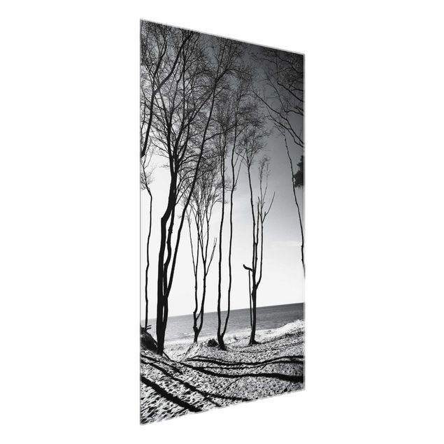 Obrazy na szkle plaża Drzewa nad Morzem Bałtyckim