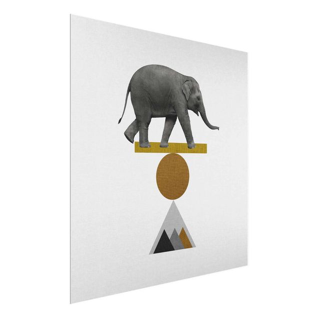 Obrazy słoń Słoń artystyczny Balans
