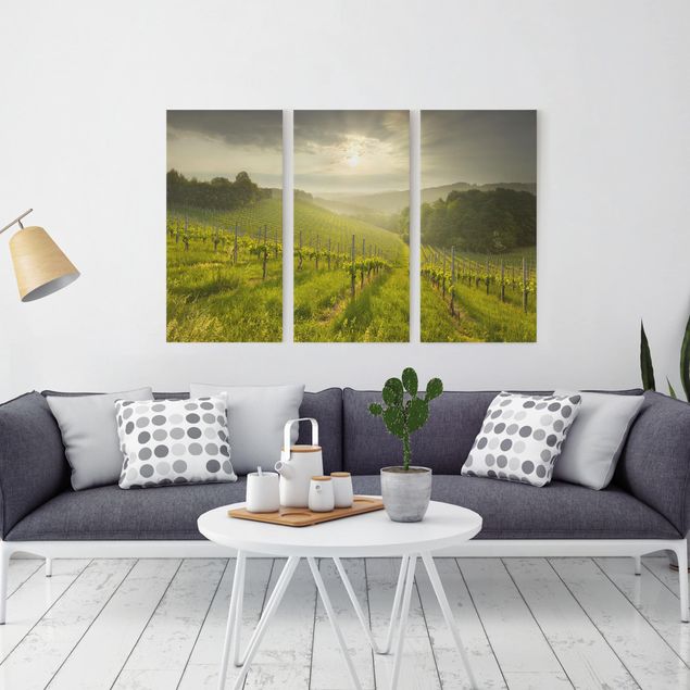 Obrazy nowoczesny Winnica Promyki Słońca