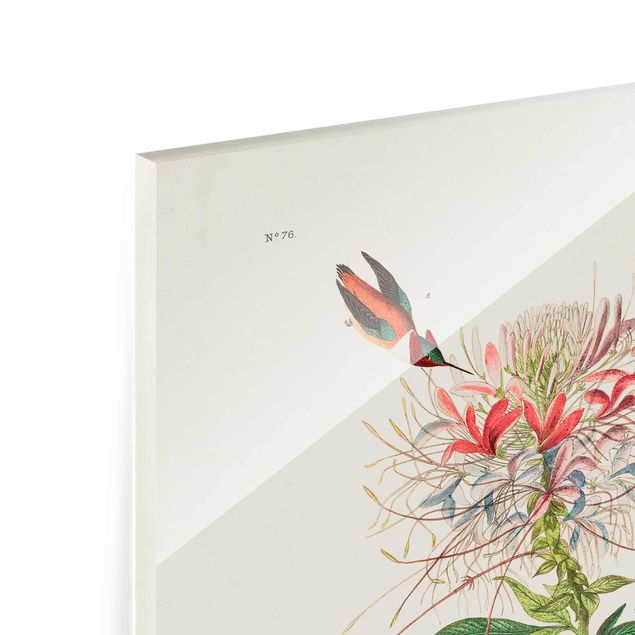 Kolorowe obrazy Tablica edukacyjna w stylu vintage Kolibry Allena