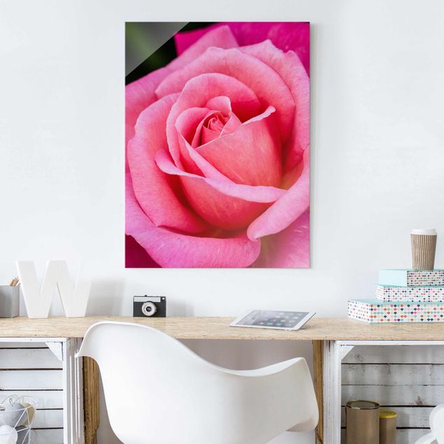 Obrazy do salonu nowoczesne Kwiat różowej róży na tle zieleni