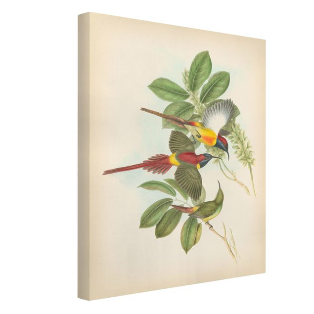 Obrazy vintage Ilustracja w stylu vintage Ptaki tropikalne III