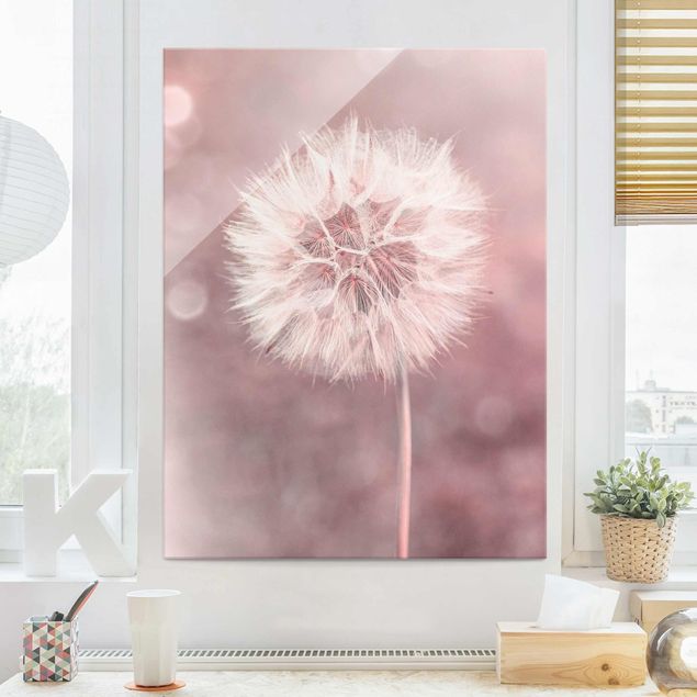 Obrazy na szkle dmuchawce dandelion bokeh różowy