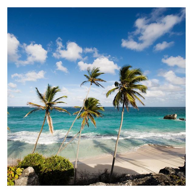 Fototapeta - Plaża na Barbadosie