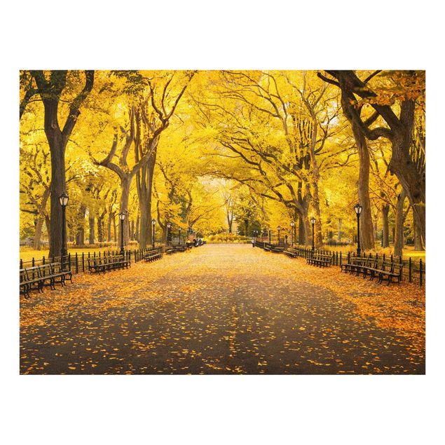Obrazy na szkle poziomy Jesień w Central Parku