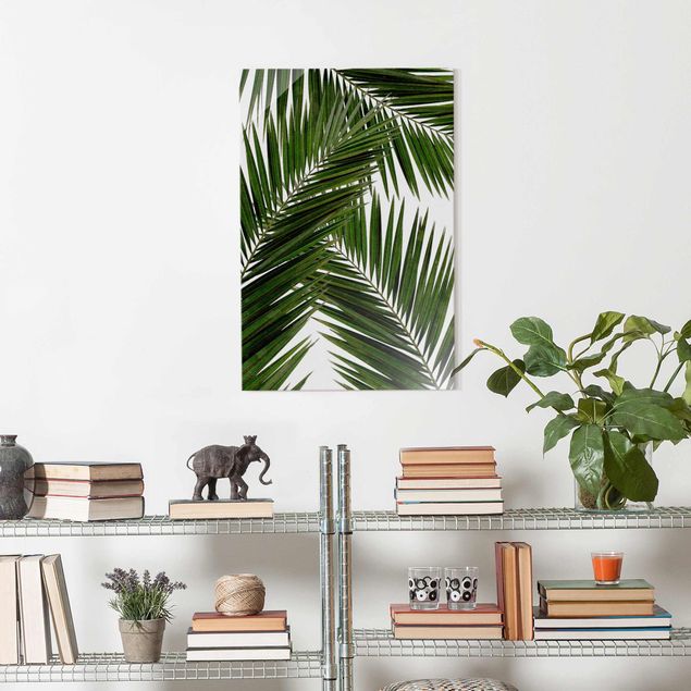 Obrazy na szkle portret Widok przez zielone liście palmy