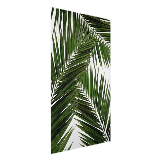 Obrazy do salonu nowoczesne Widok przez zielone liście palmy