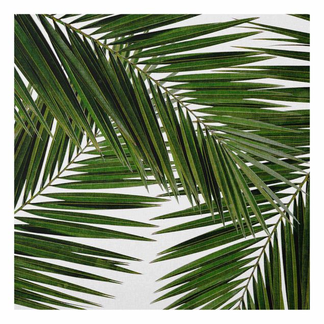 Nowoczesne obrazy Widok przez zielone liście palmy