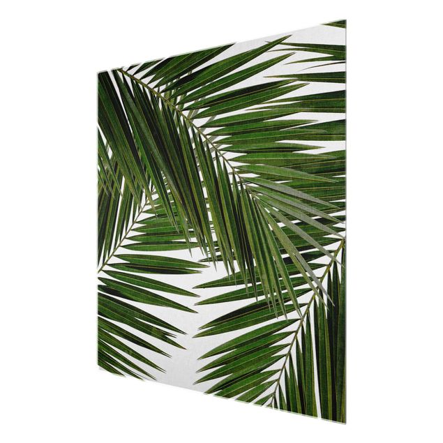 Obrazy krajobraz Widok przez zielone liście palmy