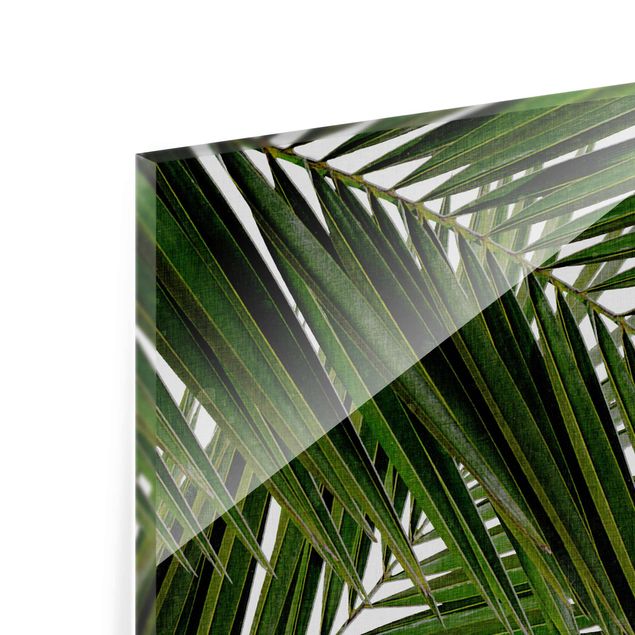 Zielony obraz Widok przez zielone liście palmy