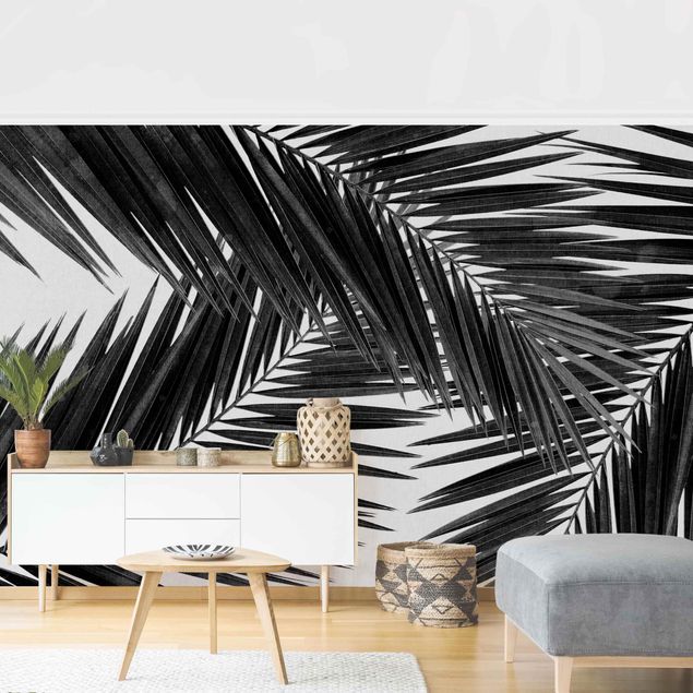 Fototapety Widok przez liście palmy czarno-biały