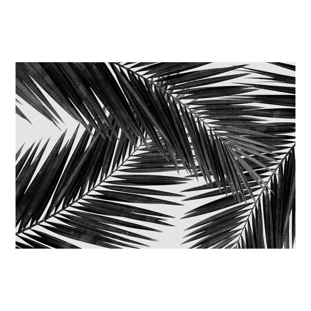 Fototapeta - Widok przez liście palmy czarno-biały