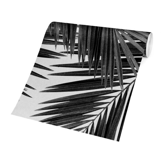 Fototapeta - Widok na liście palmy, czarno-biały