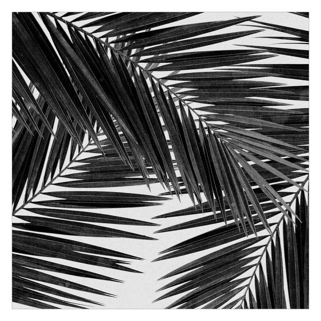 Fototapeta - Widok na liście palmy, czarno-biały