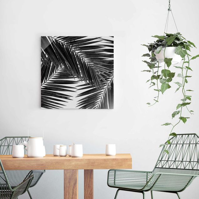 Obrazy na szkle kwadrat Widok na liście palmy, czarno-biały