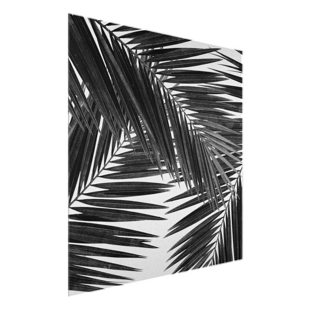 Obrazy do salonu Widok na liście palmy, czarno-biały