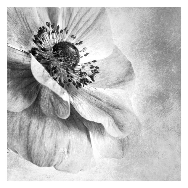 Fototapeta - Kwiat w turkusie, czerni i bieli