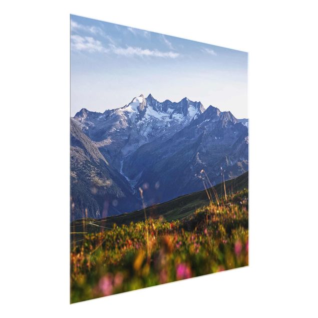 Obrazy na szkle krajobraz Kwietna łąka w górach