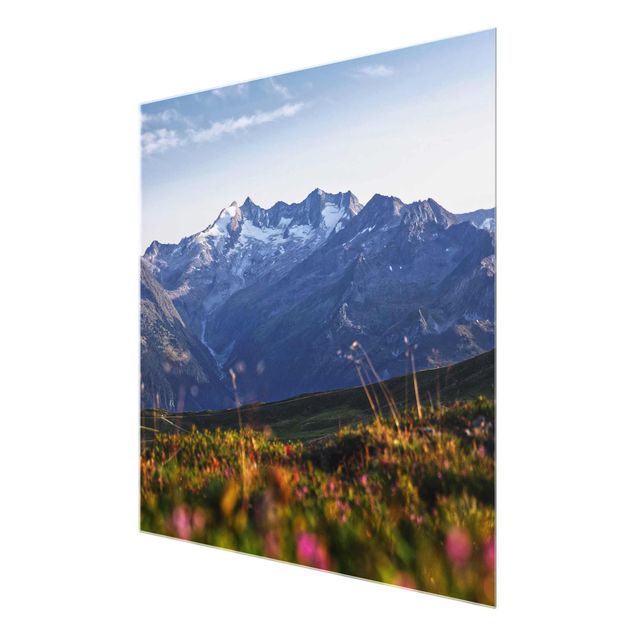Obrazy nowoczesne Kwietna łąka w górach