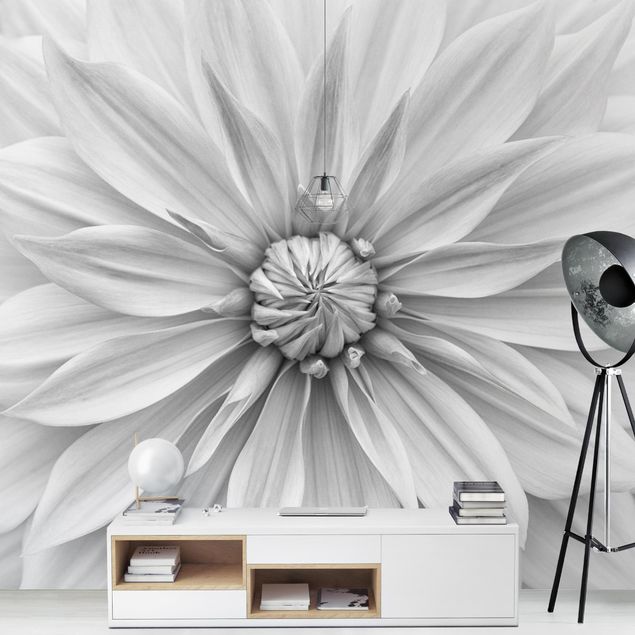 Tapety kwiaty Kwiat botaniczny w kolorze białym