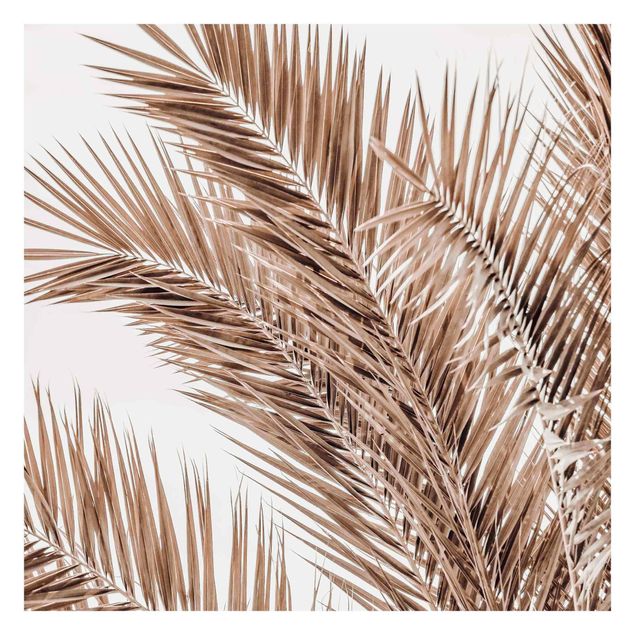 Fototapeta - Brązowe liście palmy