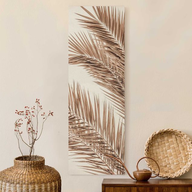 Obrazy do salonu Brązowe liście palmy