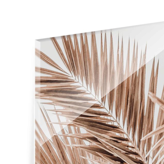 Obraz brązowy Brązowe liście palmy