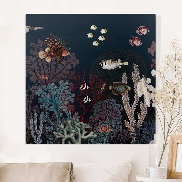 Nowoczesne obrazy do salonu Kolorowa rafa koralowa nocą