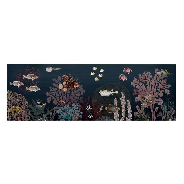Zwierzęta obrazy Kolorowa rafa koralowa nocą