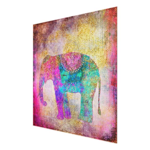 Obrazy duchowość Kolorowy kolaż - Słoń indyjski