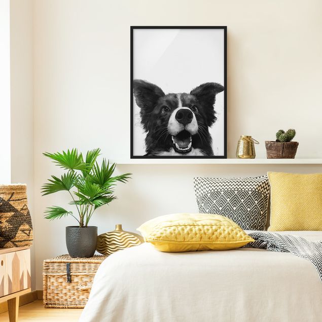 Pies obraz Ilustracja pies Border Collie czarno-biały malarstwo