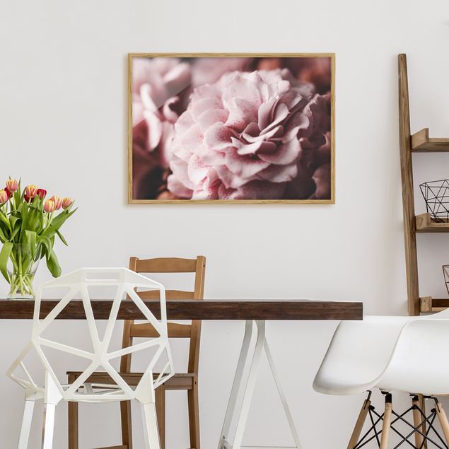 Obrazy w ramie do korytarzu Pastelowa róża Shabby Pink