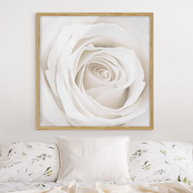 Obrazy w ramie do korytarzu Piękna biała róża