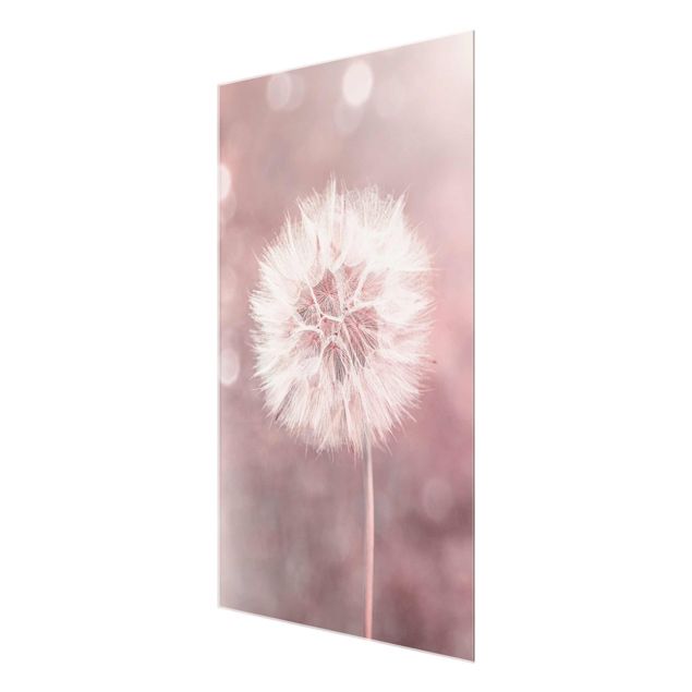 Obraz różowy dandelion bokeh różowy