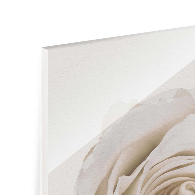 Obrazy motywy kwiatowe Akwarele - Piękna biała róża