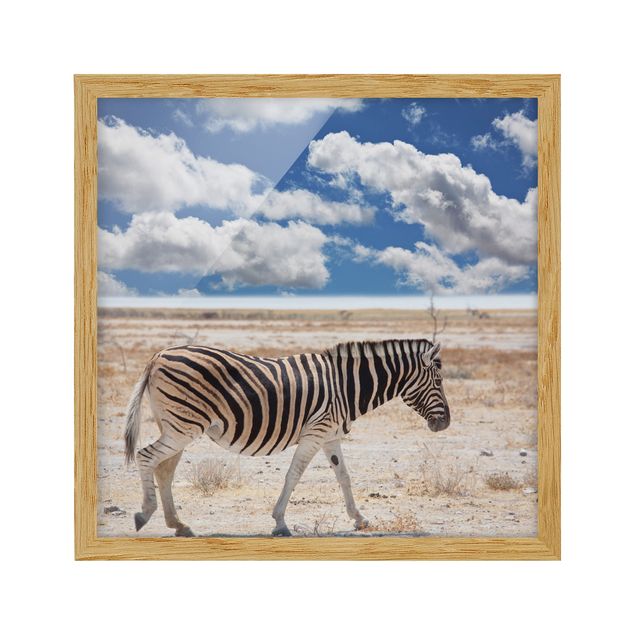 Obrazy w ramie do łazienki Zebra na sawannie