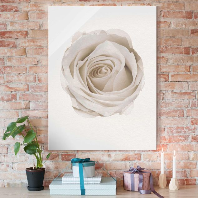 Magnettafel Glas Akwarele - Piękna biała róża