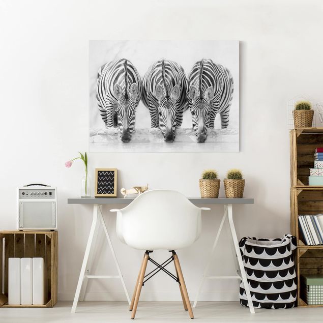 Nowoczesne obrazy Zebra Trio czarno-biała