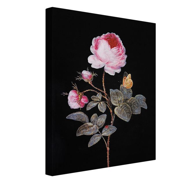 Obrazy nowoczesne Barbara Regina Dietzsch - Róża stulistna