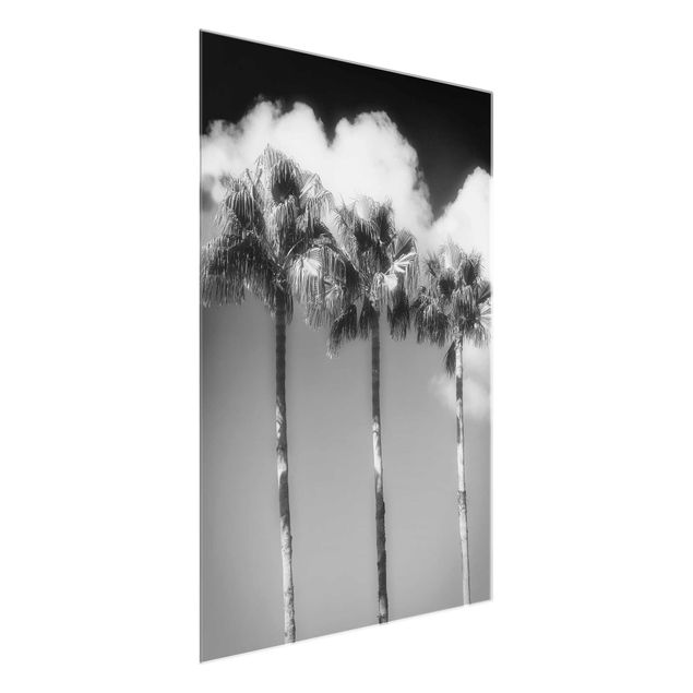 Obrazy nowoczesne Palmy na tle nieba, czarno-białe